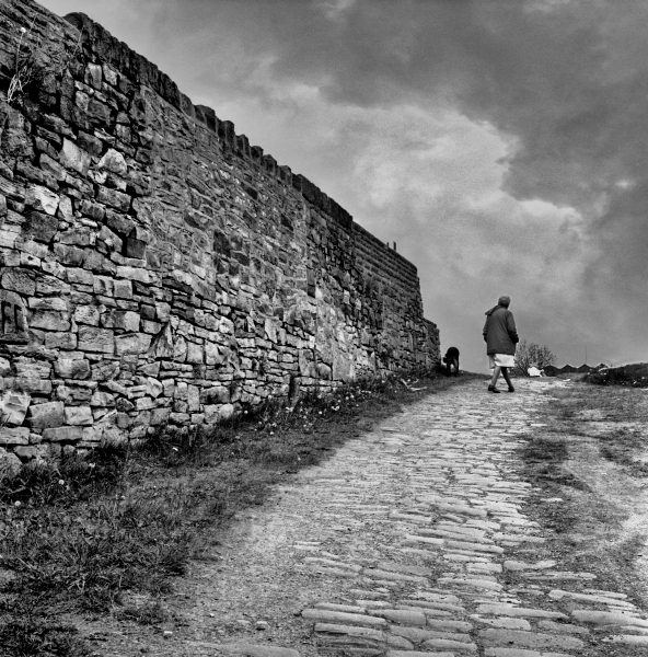 woman walking dog by Canal bank off Bolton Road, Blackburn