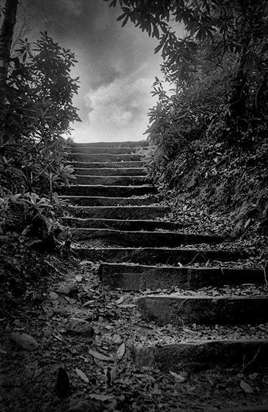 Steps at Witton Park - Blackburn - A Town and its People by Christopher John Ball