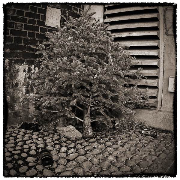 Christmas Tree and Bottles - from Discarded a Photographic Essay by Christopher John Ball - Photographer and Writer