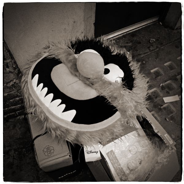 Muppet Toy from Discarded a Photographic Essay by Christopher John Ball Photographer and Writer