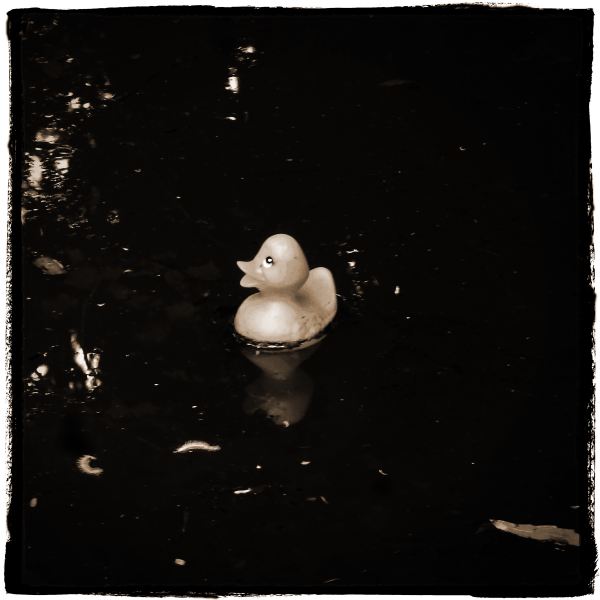 Plastic Duck from Discarded a Photographic Essay by Christopher John Ball Photographer and Writer