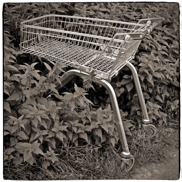 Shopping Trolley in Hedge - from Discarded a Photographic Essay by Christopher John Ball Photographer and Writer