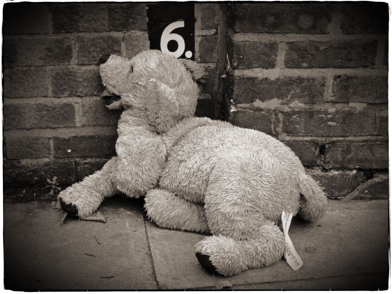 Toy Dog from Discarded: Photographic Essay by Christopher John Ball - Photographer & Writer