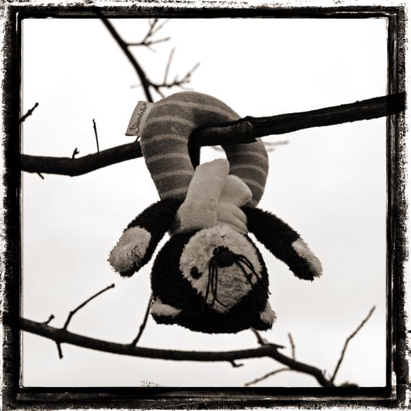Discarded Toy in Tree from Discarded - A Photographic Essay by Christopher John Ball Photographer and Writer