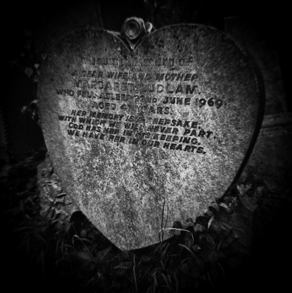 Holga Study of Abney Park in London -6 by Christopher John Ball - Photographer & Writer