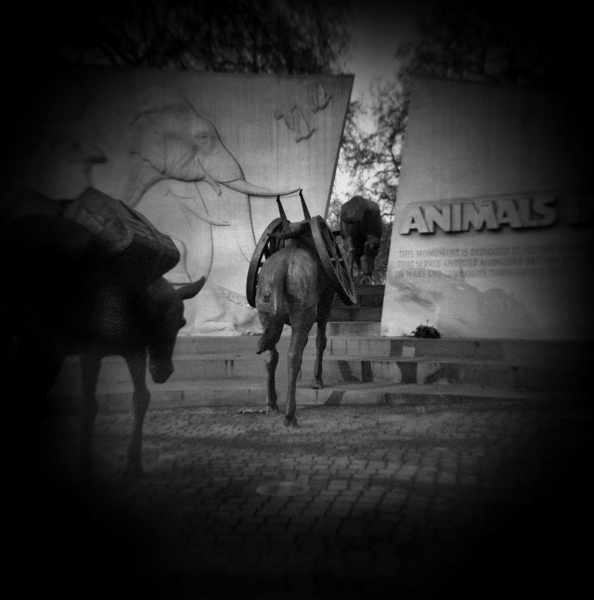 Holga photograph of Animals War Memorial London - 1 by Christopher John Ball