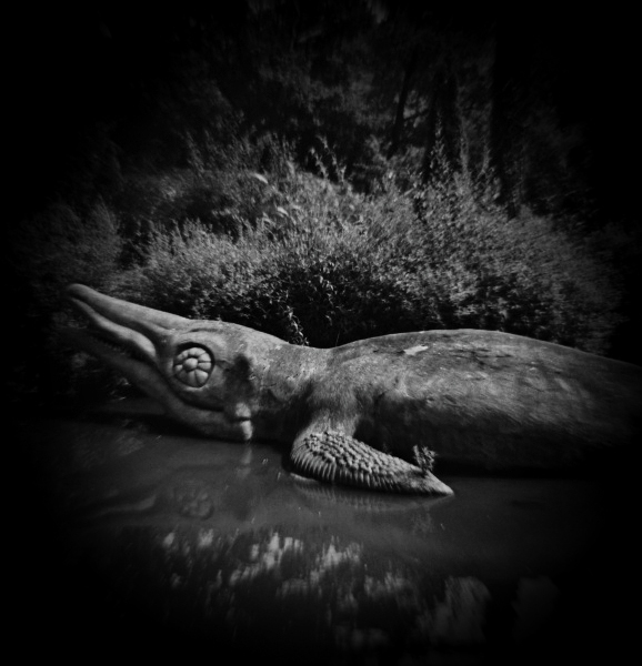 Diana Photographs of Dinosaur Court at Crystal Palace - 4 by Christopher John Ball - Photographer & Writer