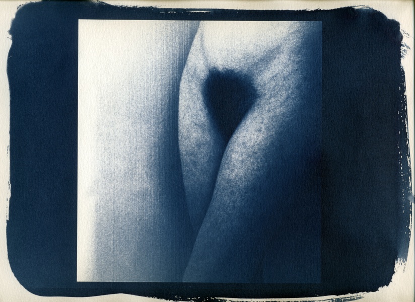 Nude Cyanotype - 5 Cyanotype Flower and Nude Photographs by Christopher John Ball - Photographer & Writer