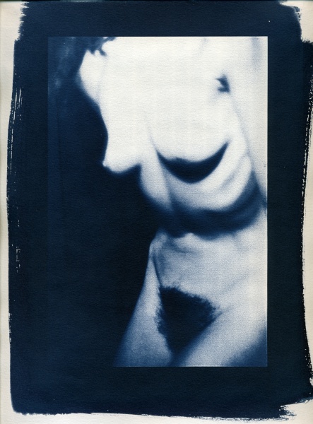 Pin Hole Nude - 4 Cyanotype Flower and Nude Photographs by Christopher John Ball - Photographer & Writer