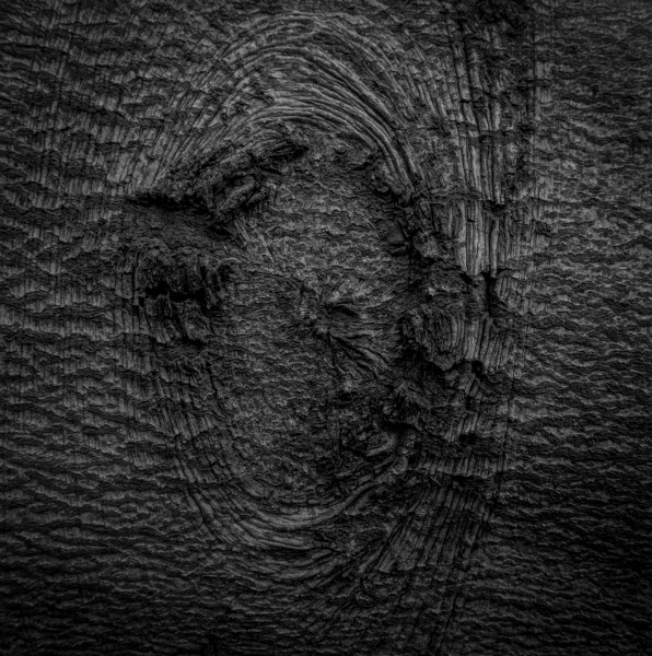 Photographic Series -Leviathan  - 3 by Christopher John Ball